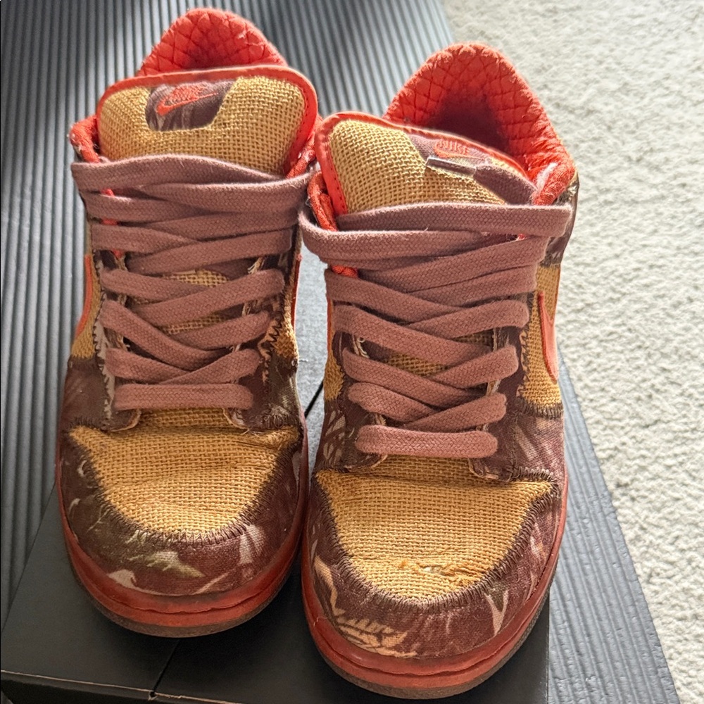 Vintage Nike Dunk Pro SB Low Hunter Reese Forbes 2004